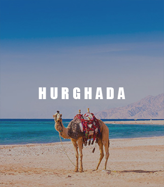 Best 25 Hurghada Tours and excursions in 2025