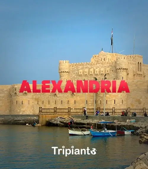 Alexandria Day Tours and Excursions | Day tours in Alexandria