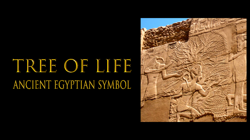 ancient egypt symbols​