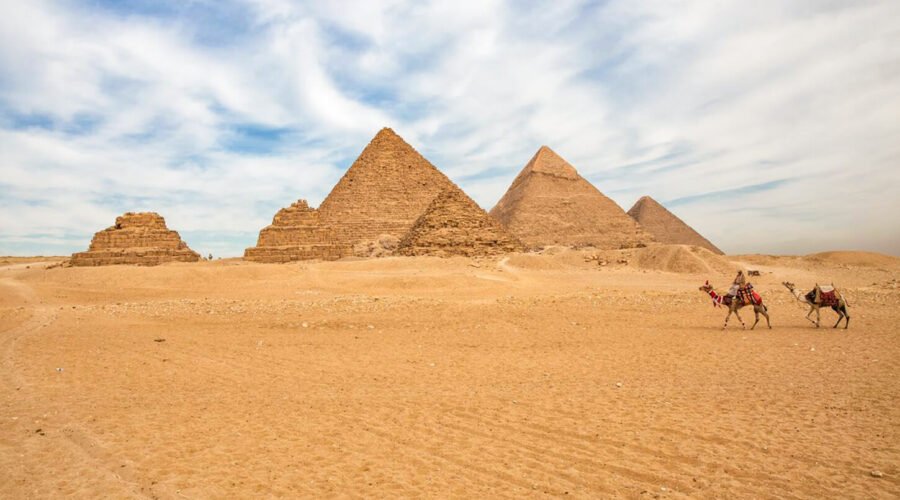 A great photo of some camels in front of the pyramids