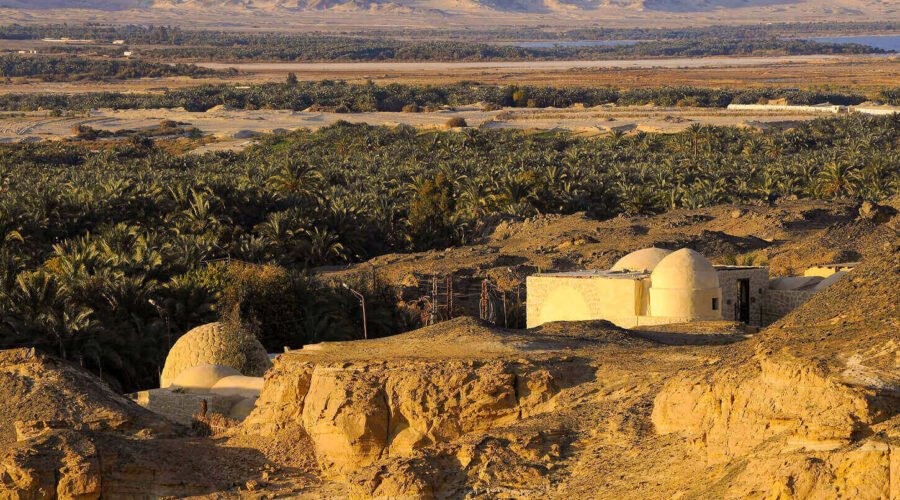 A picture of the wonderful Bahariya Oasis