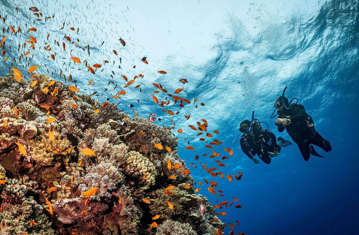 A very beautiful picture of a diver in the Red Sea