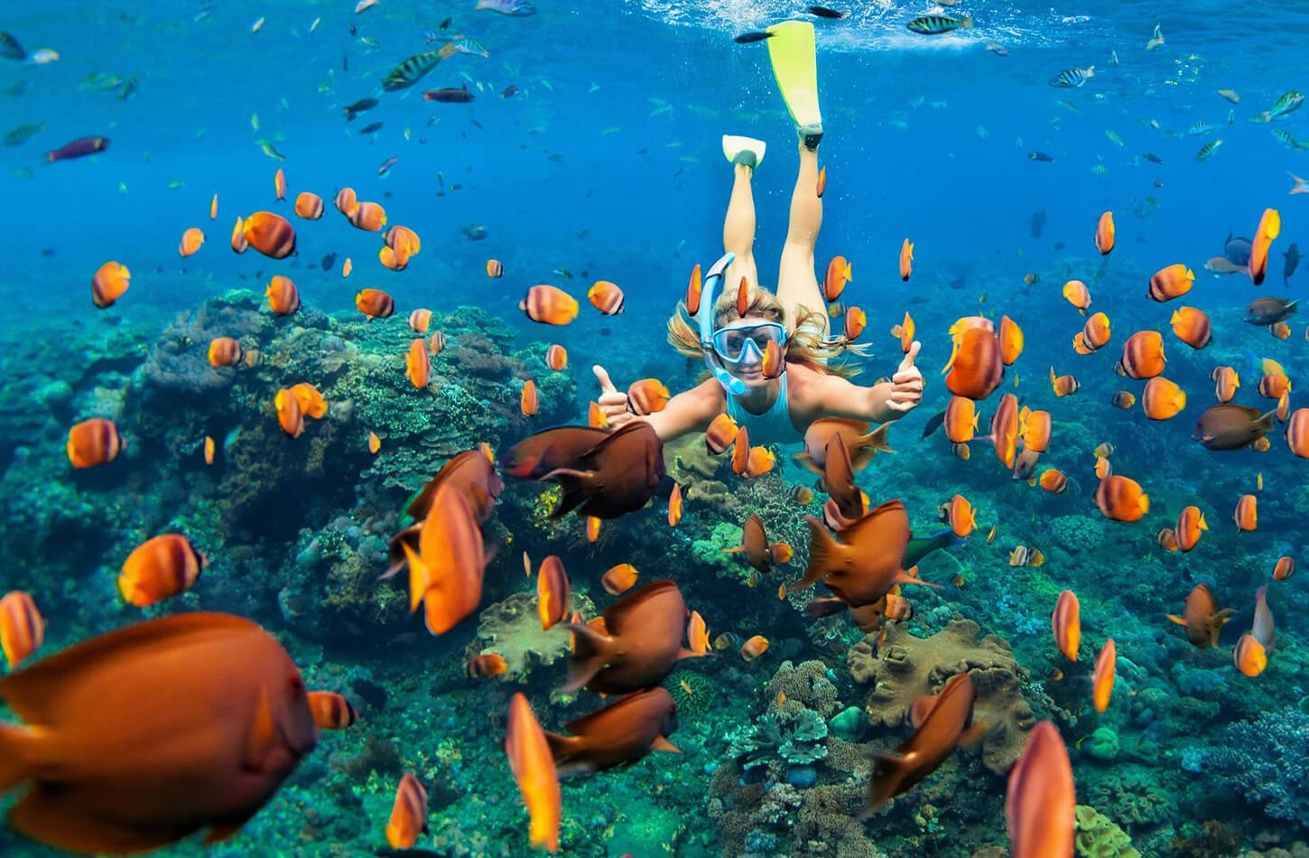 A wonderful picture of a woman on an underwater diving trip in Egypt
