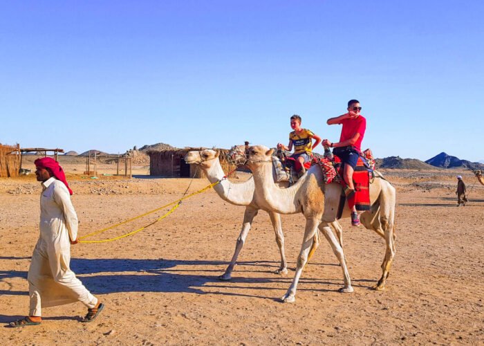 A wonderful picture of the safari with camels in Hurghada