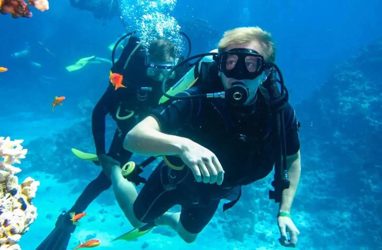 Two scuba divers in full gear exploring a vibrant coral reef during a diving trip to Egypt in October, surrounded by clear blue water and bright orange tropical fish.