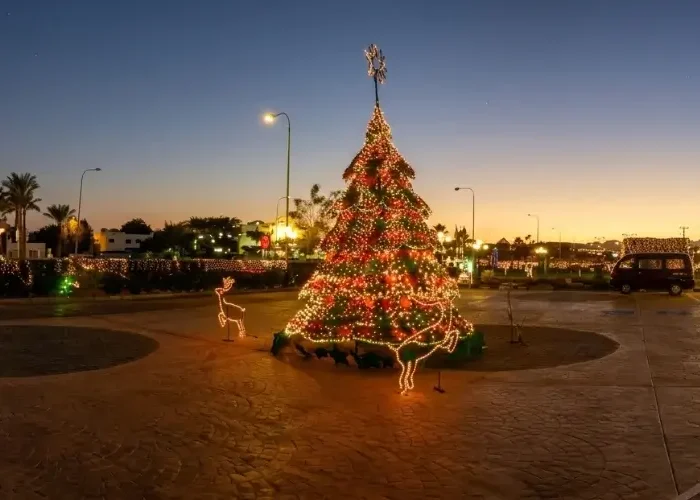 Beautifully illuminated Christmas tree at dusk during Egypt Christmas Tours in a resort square